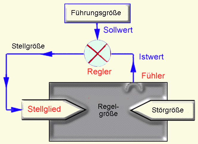 Regelung Und Steuerung Biologie Physiologie: Adaptation, Steuerung