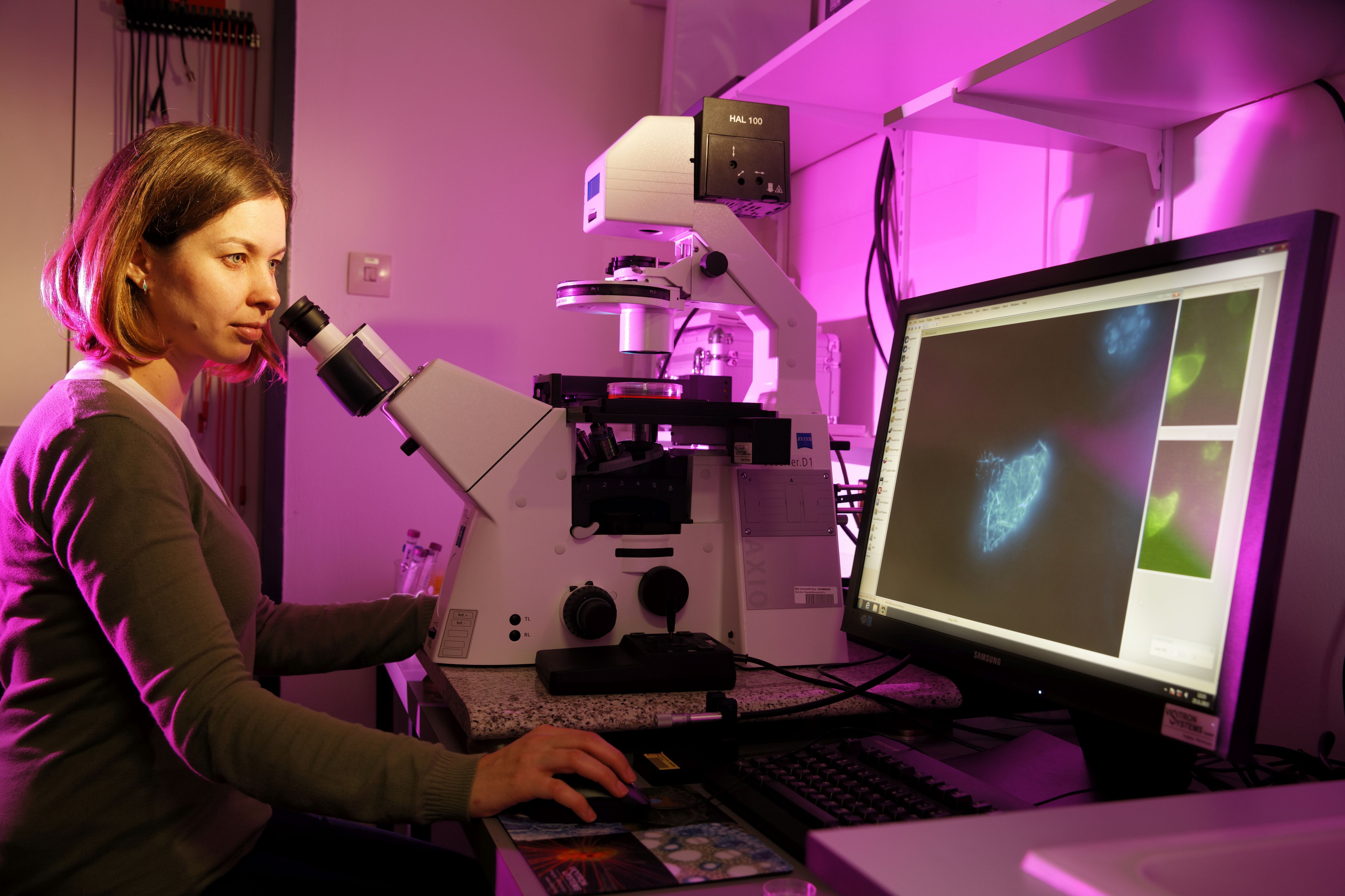 Bernadett at the microscope